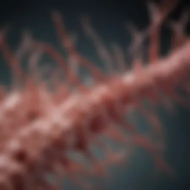pTau Accumulation and Its Impact on Neuronal Health pTau accumulation in neurons