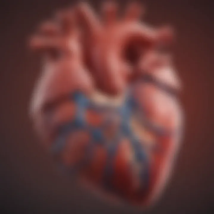 Diagram showing the anatomy of the heart