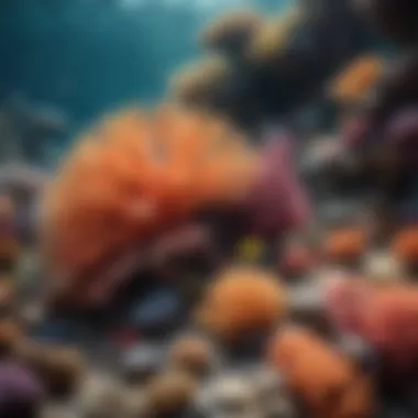 A vibrant coral reef showcasing diverse marine life