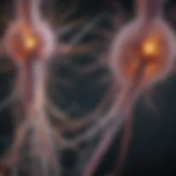 Conceptual illustration of neural pathways affected by MS