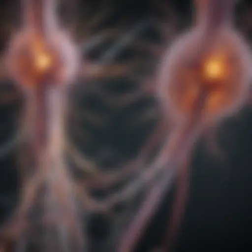 Conceptual illustration of neural pathways affected by MS