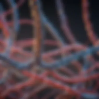 Post-Transcriptional Modifications Explained Illustration depicting post-transcriptional modifications of RNA