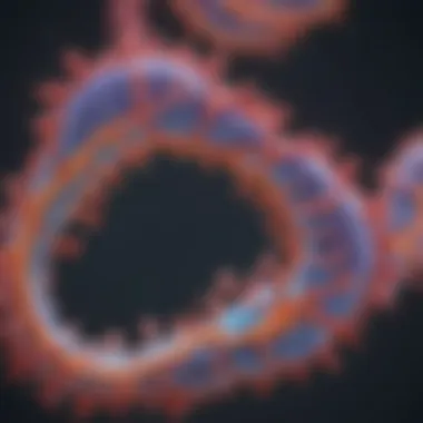 Diagram showing different types of RNA and their functions in cells