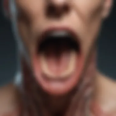 Anatomy of the Throat Diagram illustrating the anatomy of the throat