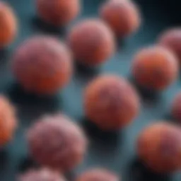 Microscopic view of SMA positive tumor cells showcasing their unique characteristics