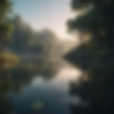 A serene water body reflecting an ecosystem in harmony.