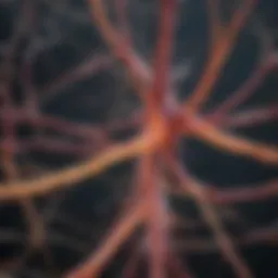 Neurological pathways affected by multiple sclerosis