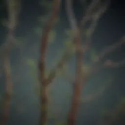 Detailed illustration of plant stems showcasing branching patterns