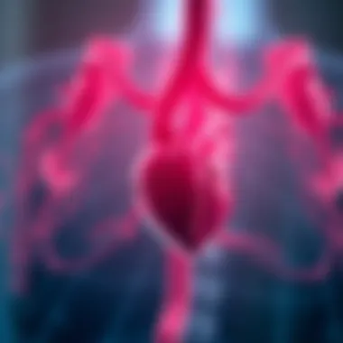 Understanding the Interrelationship Between Heart Failure and Kidney Disease Prognosis Summary Understanding the Interrelationship Between Heart Failure and Kidney Disease Prognosis Summary