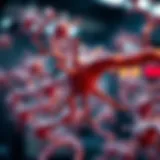 Understanding the Ketosis State: Mechanisms and Implications Introduction
