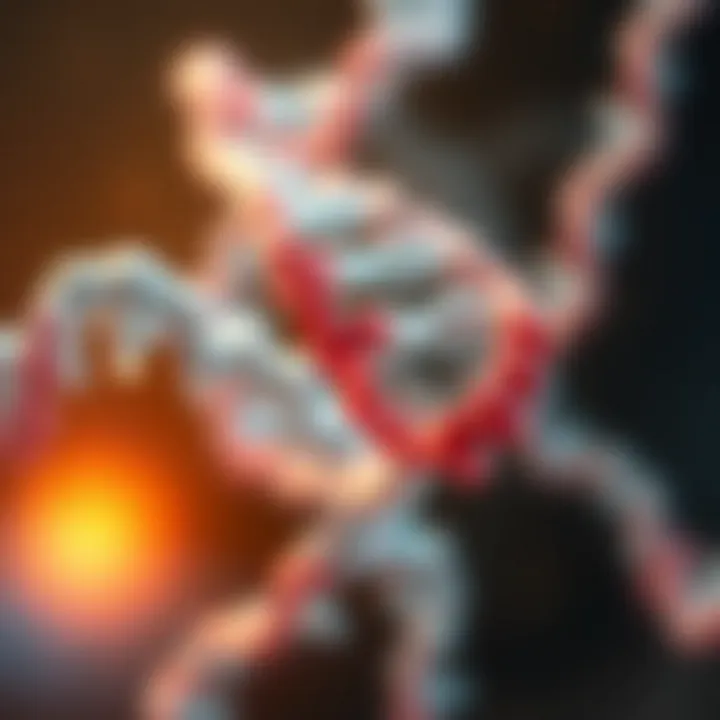 Genetic illustration of Duchenne Muscular Dystrophy