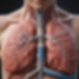 Illustration of lung anatomy highlighting COPD