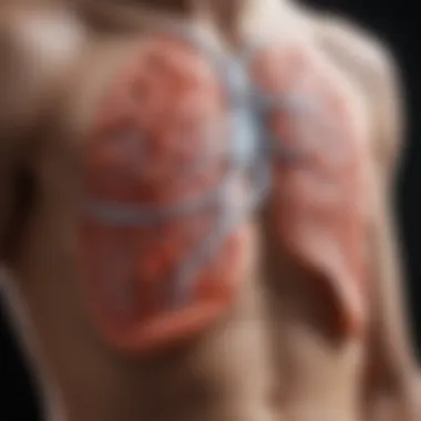 Statistics Linking COPD and Lung Cancer Graphical representation of COPD and lung cancer statistics