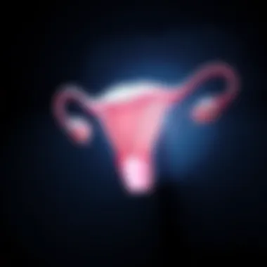 Notable Understanding the Size of an Ovary