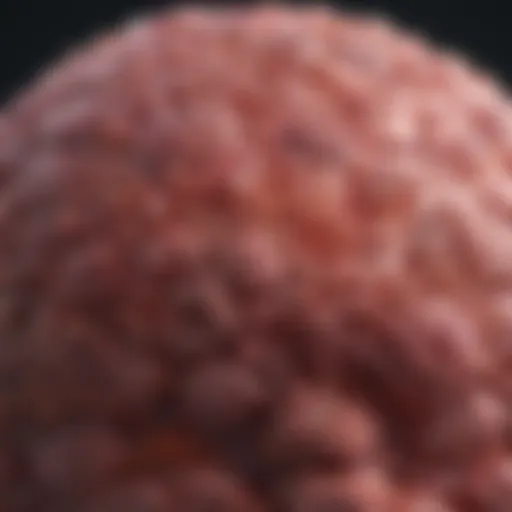 Understanding TTF 1 Adenocarcinoma: An In-Depth Review Introduction