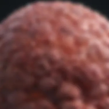 Understanding TTF 1 Adenocarcinoma: An In-Depth Review Introduction Understanding TTF 1 Adenocarcinoma: An In-Depth Review Introduction