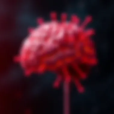 Fear Response Mechanisms in the Brain Visualization of fear response mechanisms in the brain