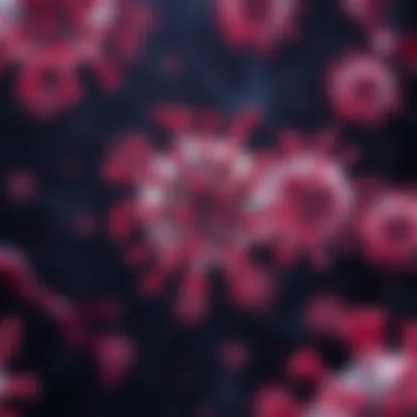 Vitamin D and Immune Response Visual representation of the immune system, emphasizing Vitamin D's role in immunity.