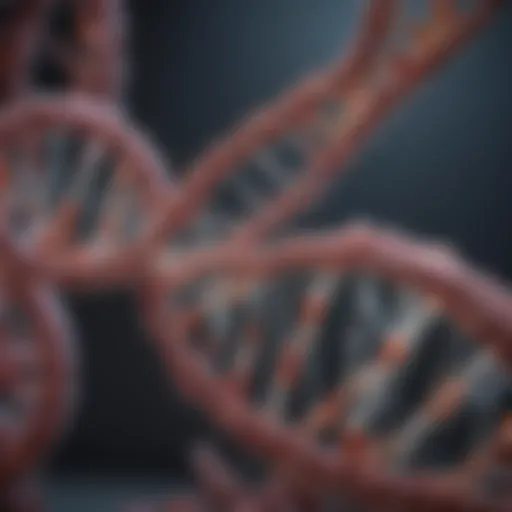 Molecular structure of DNA repair mechanism