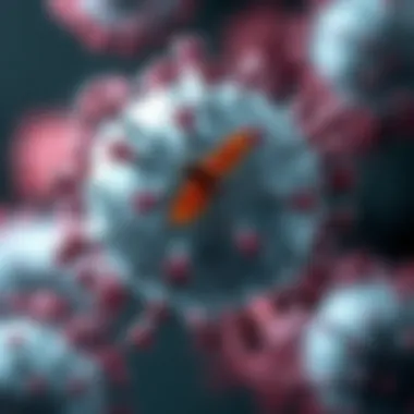 Zika Virus and Pregnancy: A Comprehensive Examination Summary Zika Virus and Pregnancy: A Comprehensive Examination Summary
